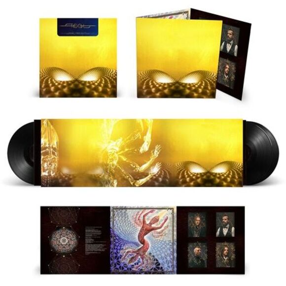 Fear Inoculum - Picture 2 of 4